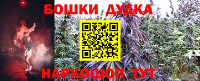 ECSTASY Гатчина