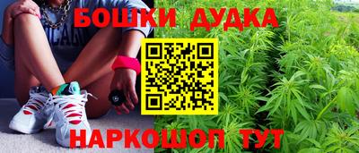 apvp Гай