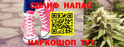 apvp Гай