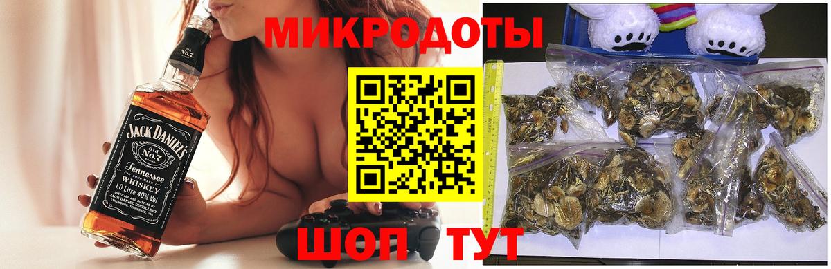 Псилоцибиновые грибы ЛСД  Вход с VPN  Псилоцибиновые грибы Magic Shrooms  купить  цена  Нефтекумск 